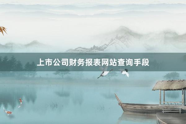 上市公司财务报表网站查询手段