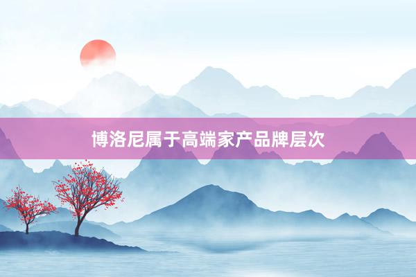 博洛尼属于高端家产品牌层次