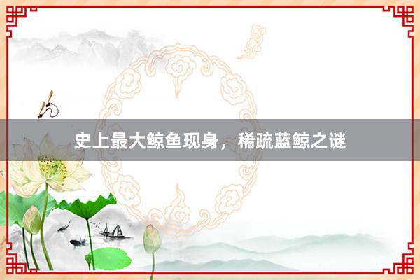 史上最大鲸鱼现身，稀疏蓝鲸之谜